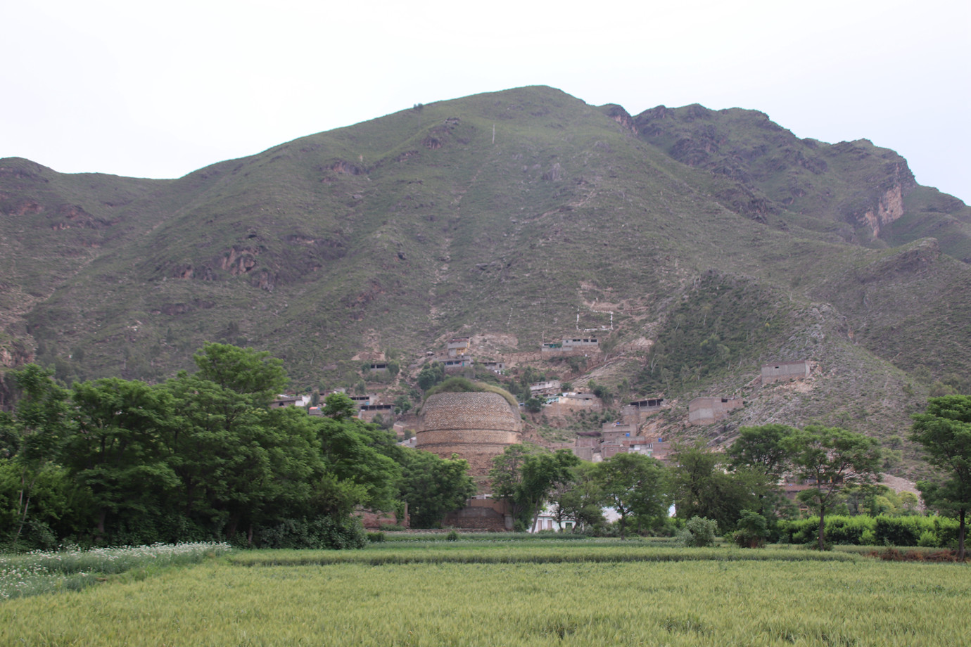 巴基斯坦史瓦特山谷-上君王佛塔